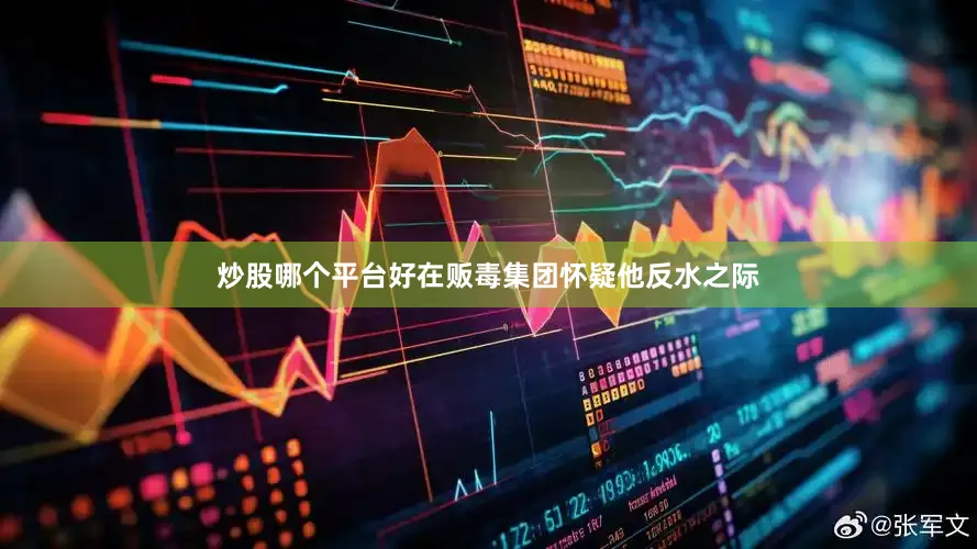 炒股哪个平台好在贩毒集团怀疑他反水之际